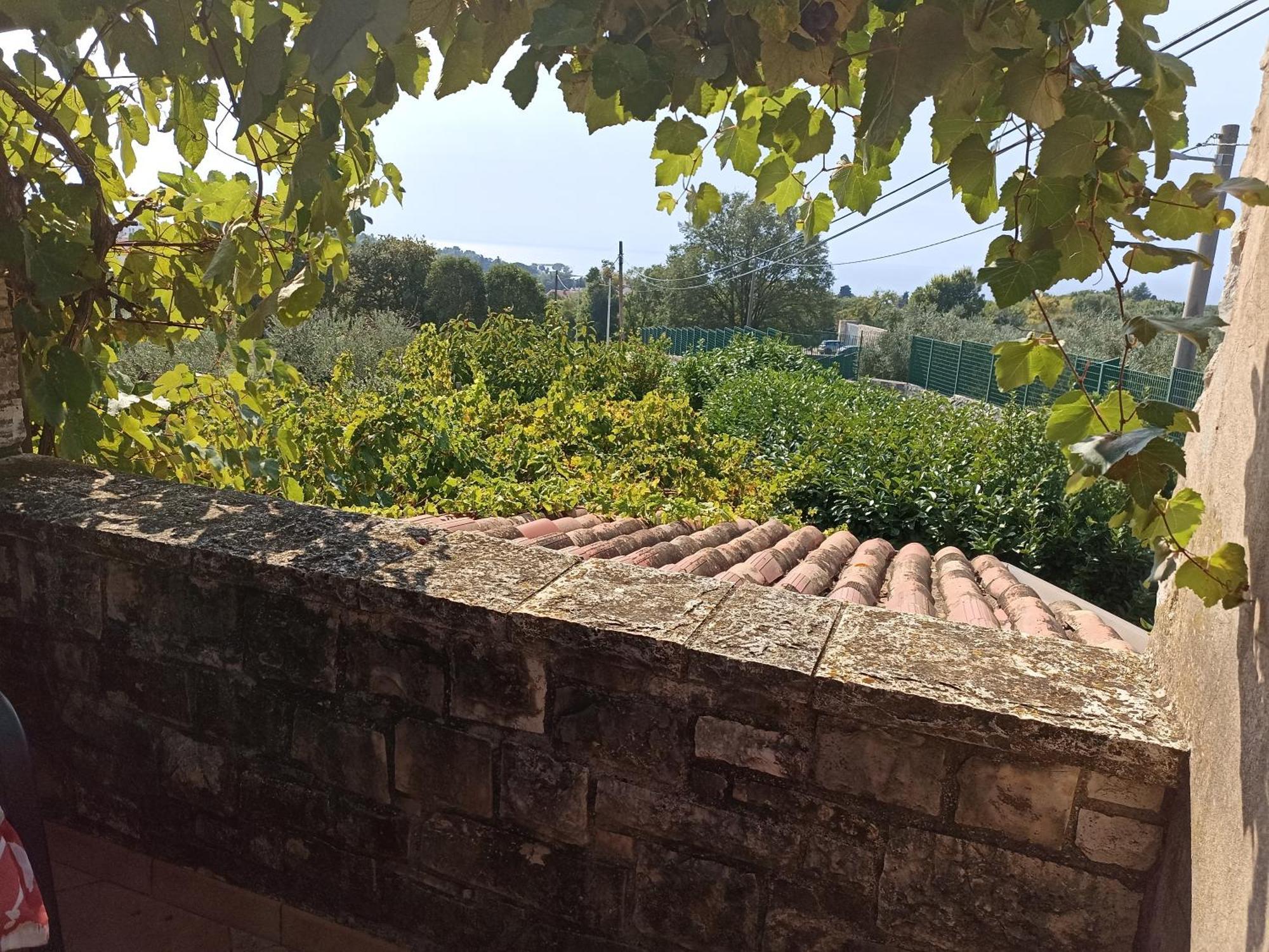 Hedra Διαμέρισμα Zambratija  Εξωτερικό φωτογραφία
